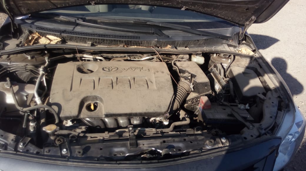  Toyota COROLLA 2013    EN DESARME